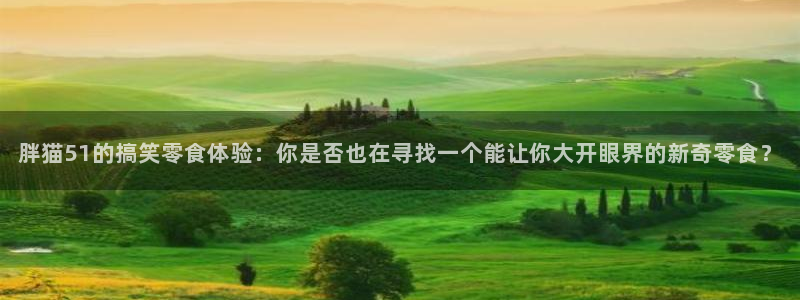 胖猫51的搞笑零食体验：你是否也在寻找一个能让你大开眼界的新奇零食？