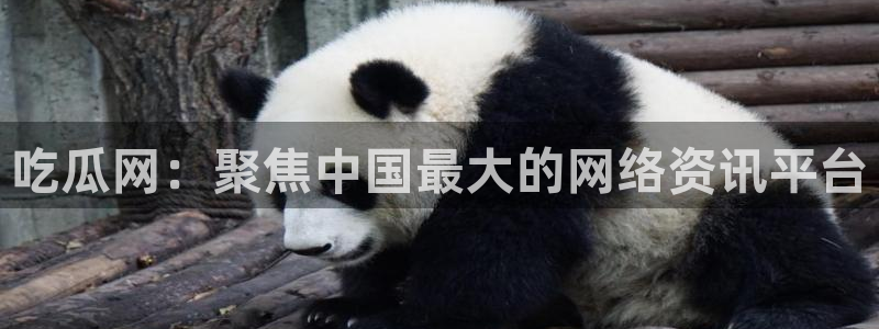 吃瓜网：聚焦中国最大的网络资讯平台