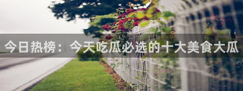 今日热榜：今天吃瓜必选的十大美食大瓜